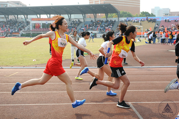 1540944266317.jpg